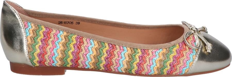 Si Winita Multi Rainbow