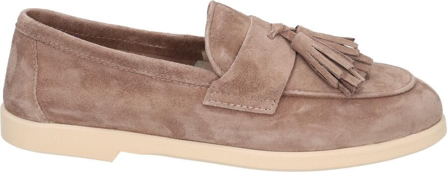 Toscanini Olga1 Mauve