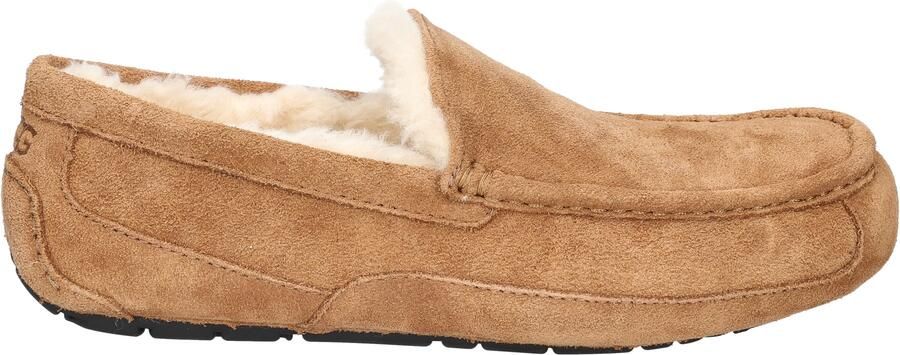 Ugg Ascot Men Chestnut