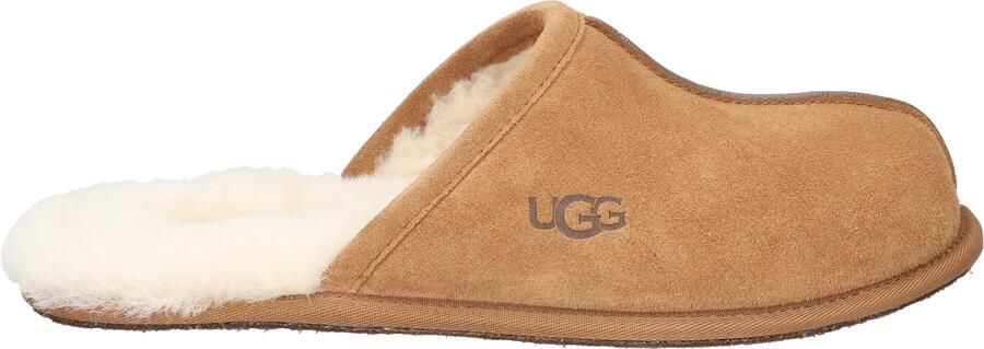 Ugg Scuff Men Chestnut
