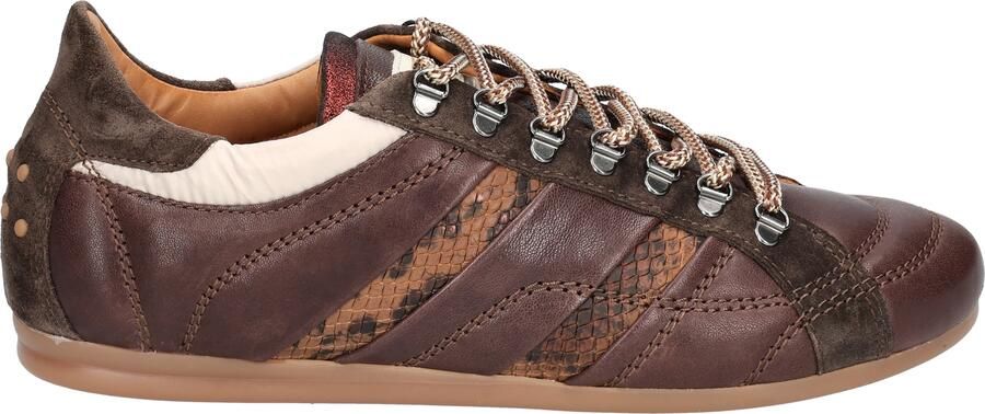 Via vai 62488 June Jackie 01-316 Brown