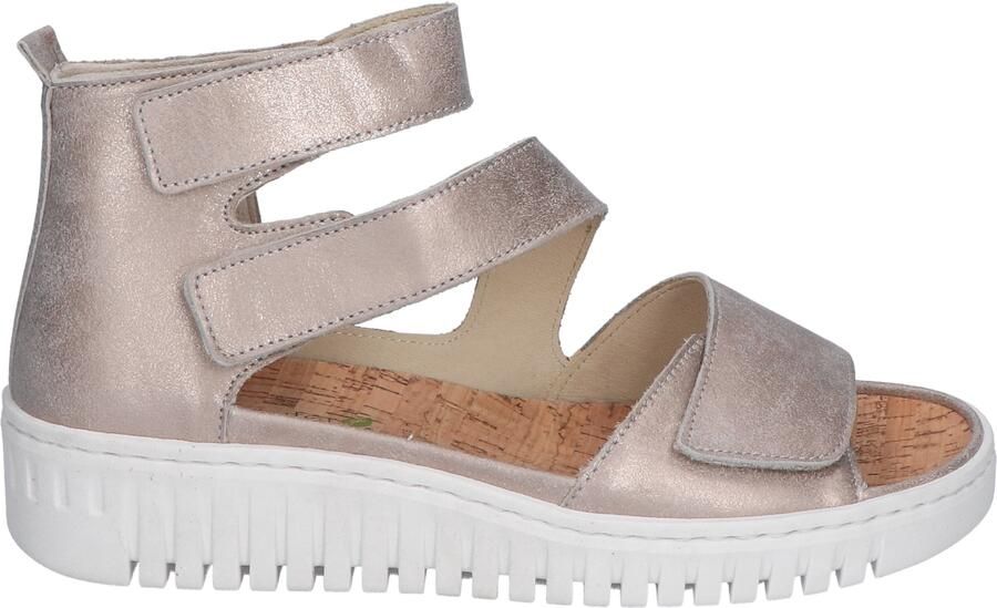 Waldlaufer 955801 131 070 Eclis Stein