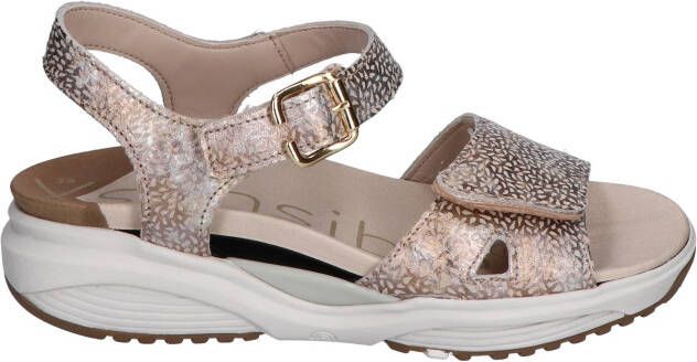 Xsensible 30312.5 Skala 446 Sand Fantasy H-Wijdte