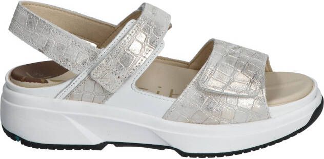 Xsensible Aruba 30700.5 166 White Metal G H Wijdte Sandalen