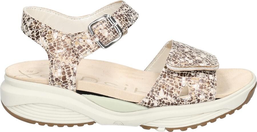 Xsensible 30312.5 Skala 428 Sand Combi H-Wijdte
