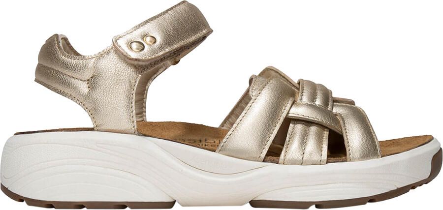 Xsensible 30804.5 911 Gold