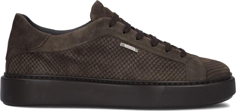 Antony Morato Mmfw01938 Sneakers Heren Taupe