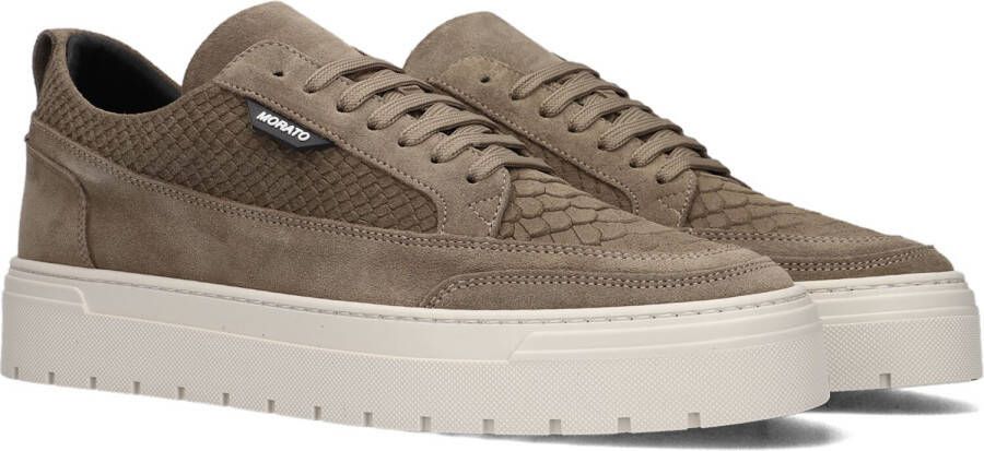 Antony Morato Taupe Lage Sneakers Mmfw01623