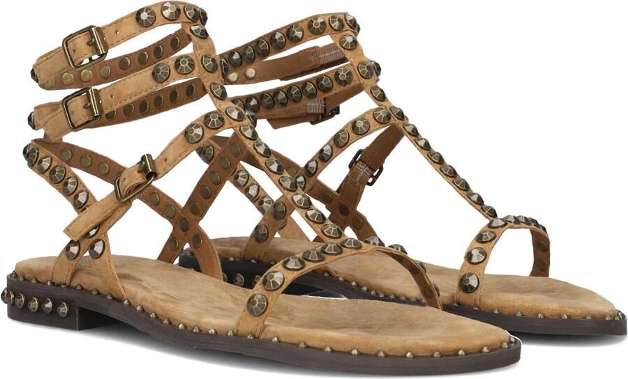 ASH Dames Play Maat: 37 Materiaal: Suède Kleur: Camel