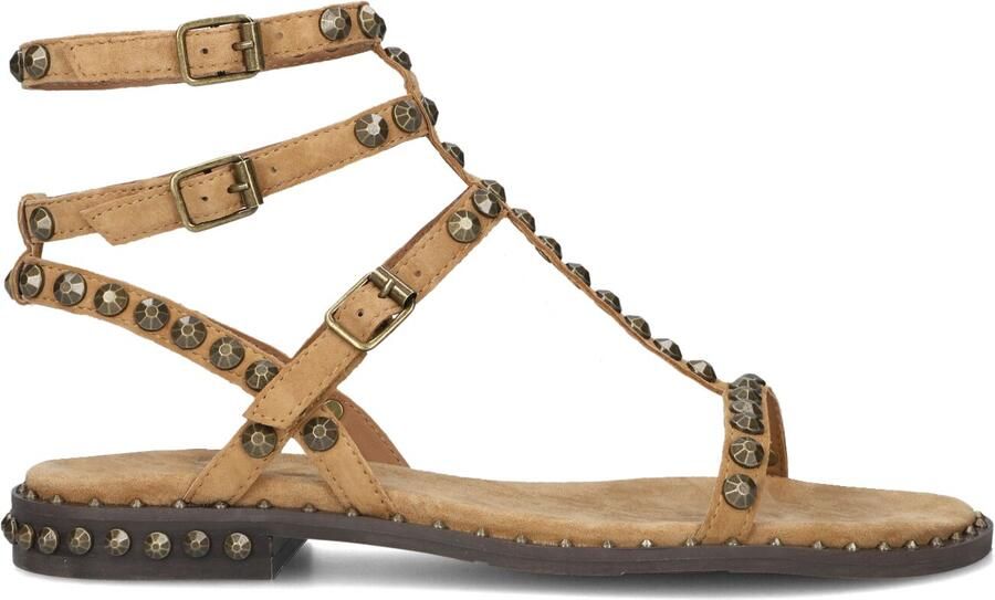 ASH Dames Play Maat: 37 Materiaal: Suède Kleur: Camel - Foto 3