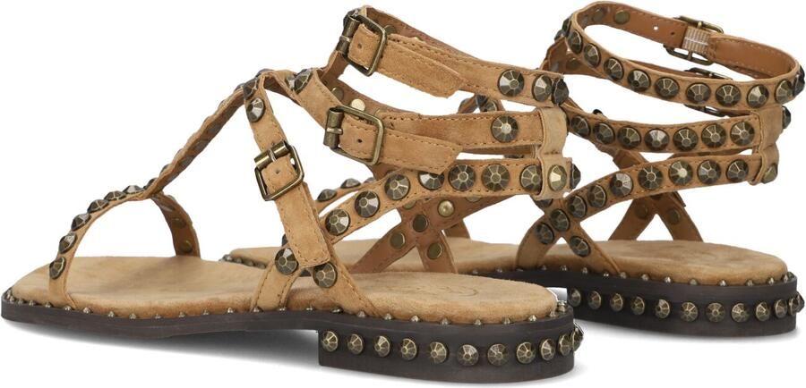 ASH Dames Play Maat: 37 Materiaal: Suède Kleur: Camel - Foto 4