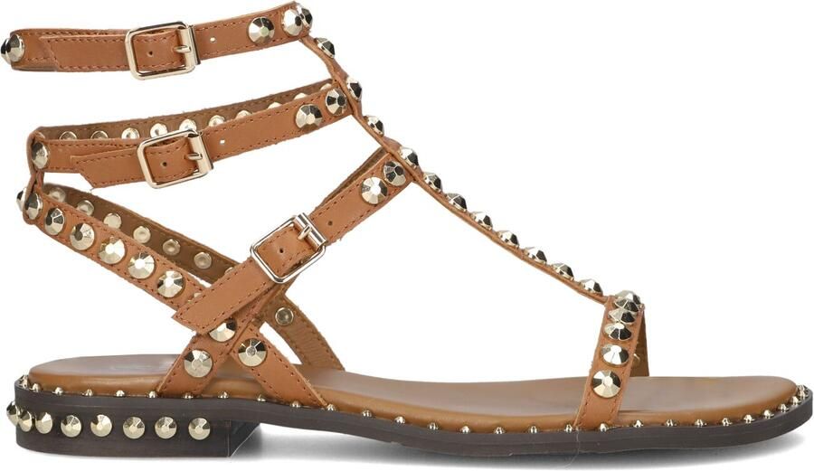 ASH Dames Play Maat: 41 Materiaal: Leer Kleur: Camel - Foto 3