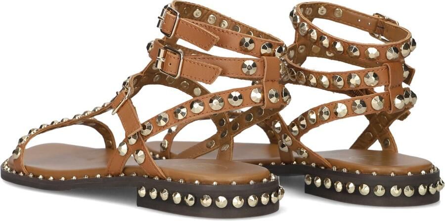 ASH Dames Play Maat: 41 Materiaal: Leer Kleur: Camel - Foto 4