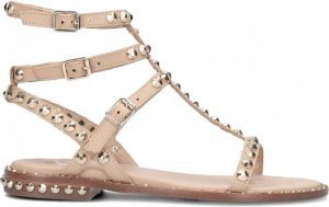 Ash Sandalo modello play Play03 Beige Dames