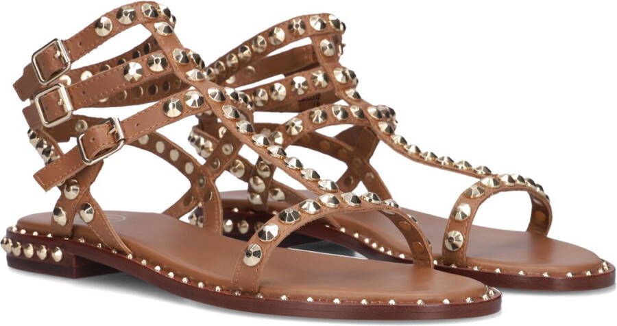 ASH Dames Play Maat: 40 Materiaal: Leer Kleur: Bruin