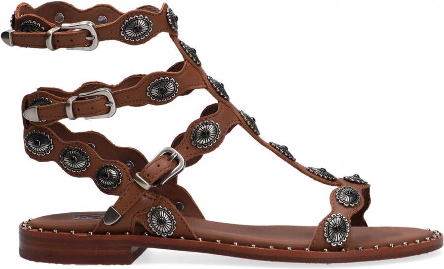 Bruin Tinten Phoenix Sandalen Dames Cognac