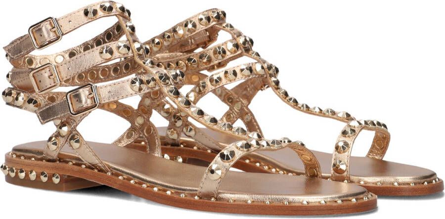 ASH Dames Play Maat: 40 Materiaal: Leer Kleur: Goud