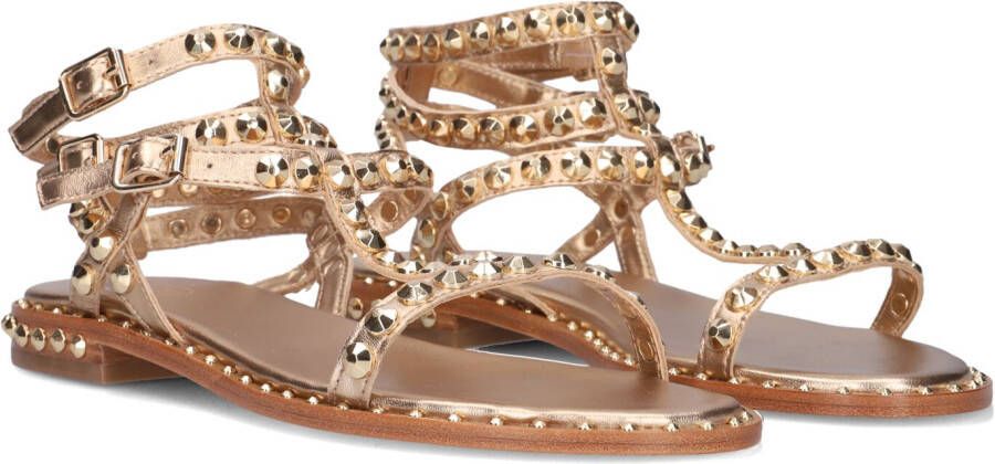 ASH Dames Play Maat: 39 Materiaal: Leer Kleur: Goudkleurig