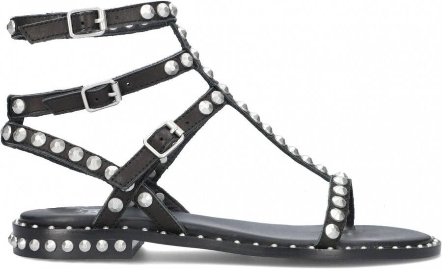 Ash Play Sandalen Dames Zwart