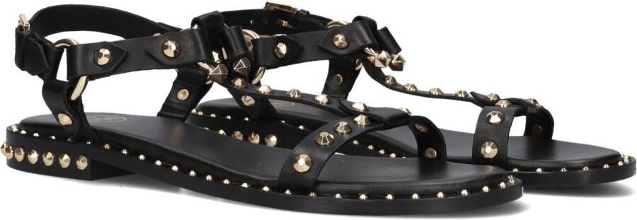 Ash Zwarte Leren Sandalen met Gouden Studs Black Dames