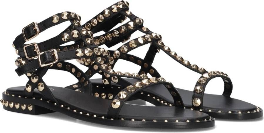 Ash Zwarte Leren Sandaal met Gouden Studs Black Dames