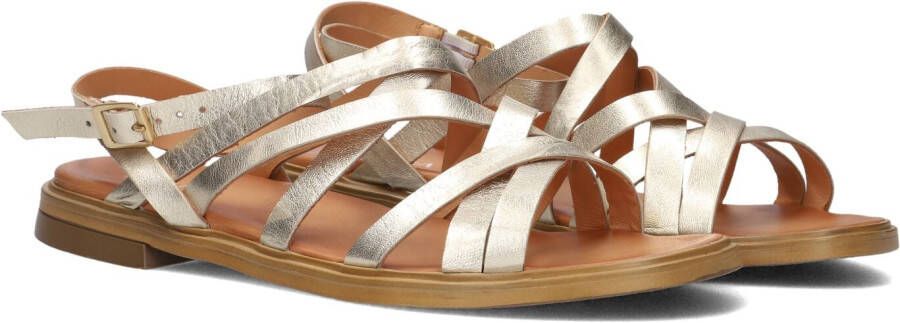 AYANA Dames M05089 Maat: 37 Materiaal: Leer Kleur: Goud