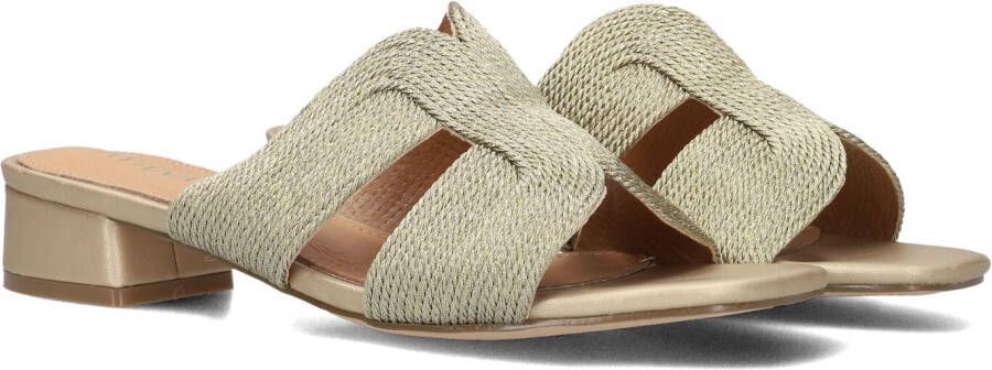 AYANA 0325-8 Slippers Dames Goud