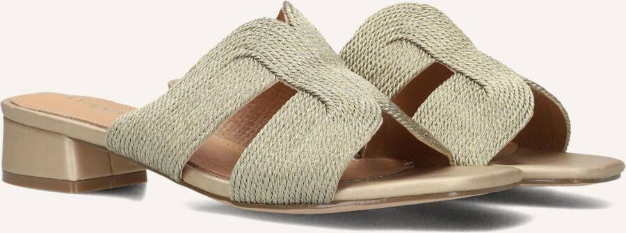 AYANA Slippers Dames 0325-8 Maat: 39 Materiaal: Textiel Kleur: Goud