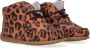 Bardossa Kimba Babyschoenen Babyslofjes Meisjes Bruin - Thumbnail 1