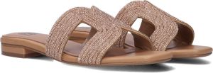 Bruin Tinten 839z00hg Slippers Dames Bruin