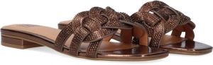 Bruin Tinten 868z00hg Slippers Dames Bruin