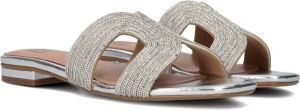 BiBi Lou 839z00hg Slippers Dames Zilver