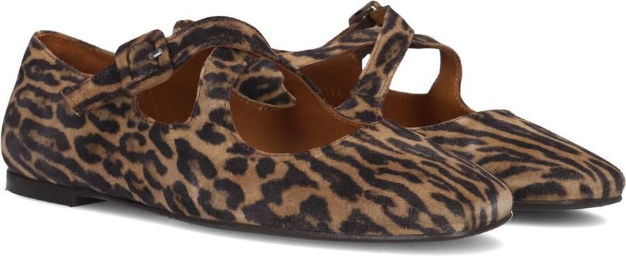 BILLI BI Ballerina Dames A8314 Maat: 38 Kleur: Bruin