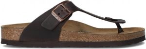 Birkenstock Gizeh Tabacco Brown regular Oiled Leather Slippers