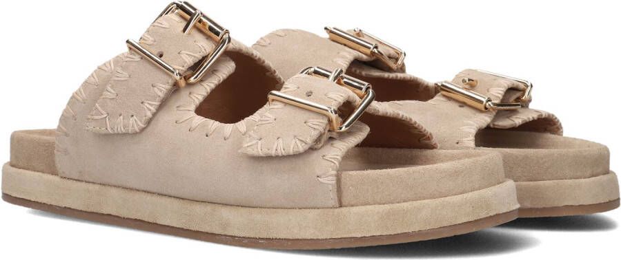BLASZ Slippers Dames Lpmag-40 Maat: 43 Materiaal: Suède Kleur: Bruin