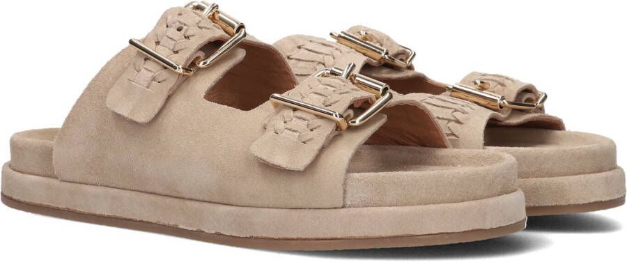 BLASZ Slippers Dames Lpmag-41 Maat: 40 Materiaal: Suède Kleur: Bruin