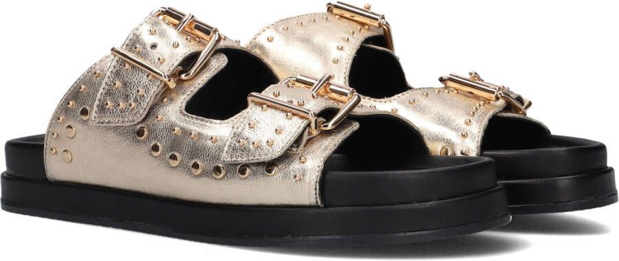 BLASZ Lpmag-07 Slippers Dames Goud