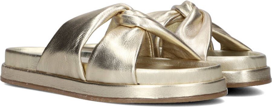 BLASZ Lpmag-14 Slippers Dames Goud