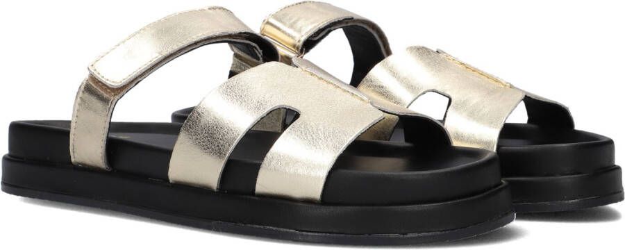 BLASZ Slippers Dames Lpmag-43 Maat: 37 Materiaal: Leer Kleur: Goud