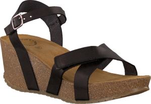 Cashott Ca'Shott Dames Sandalen 20272