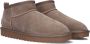 Colors of California Enkellaarzen Short winter boot in suede - Thumbnail 1