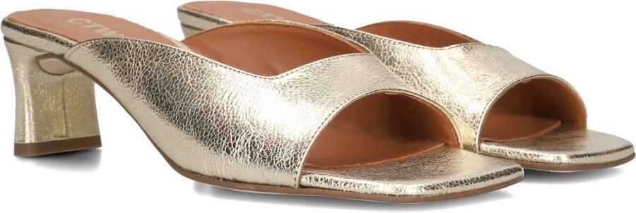 CTWLK Ramour Hakken Dames Goudkleurig