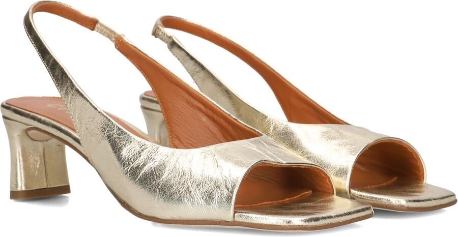 CTWLK Ronny Hakken Dames Goudkleurig