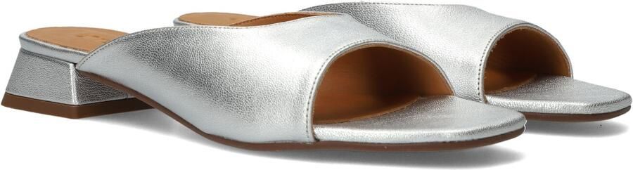 CTWLK Gilla Hakken Dames Zilverkleurig