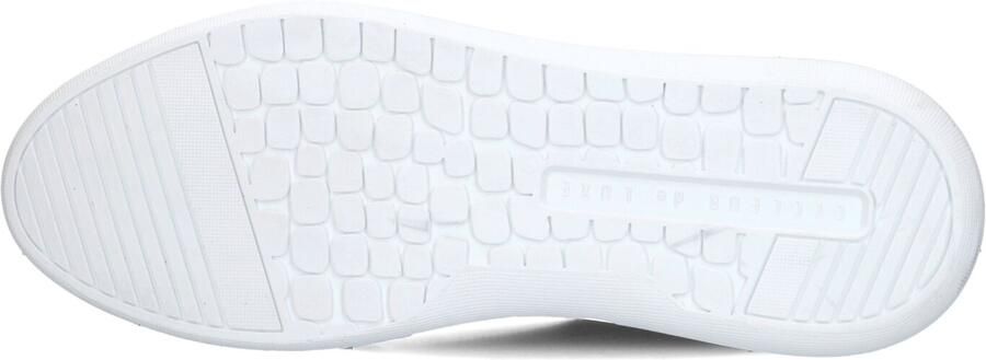 CYCLEUR DE LUXE Blauwe Sneakers Roubaix-dr7 - Foto 5