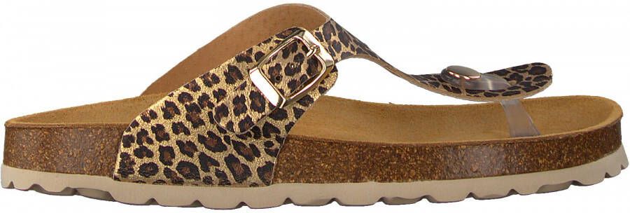 Develab Gouden Slippers 48202