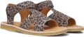 Du Loua Du Alfie Sandalen Meisjes Grijs - Grijs