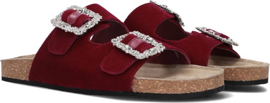 Elena Iachi Paarse Fluwelen Slippers met Diamanten Versieringen Purple Dames