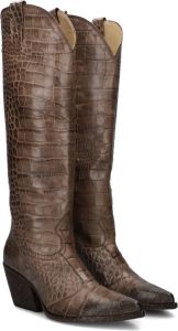 City Western bruin Tinten E2521 Cowboylaarzen Western Laarzen Dames Taupe