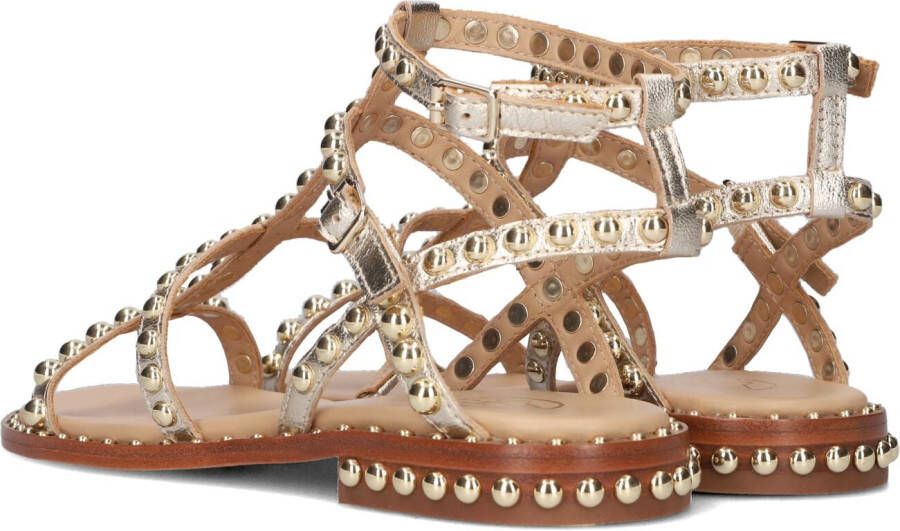 Ash Gouden Sandalen Precious